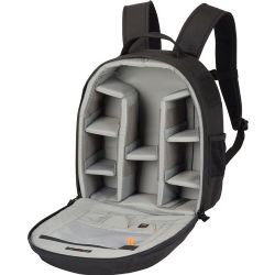 Lowepro Pro Runner 200 AW Backpack (Black)